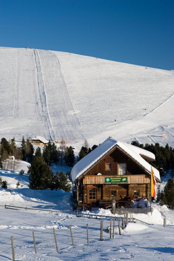 Zirbenhuette Am Falkert Auf Der Heidi-alm Apartment